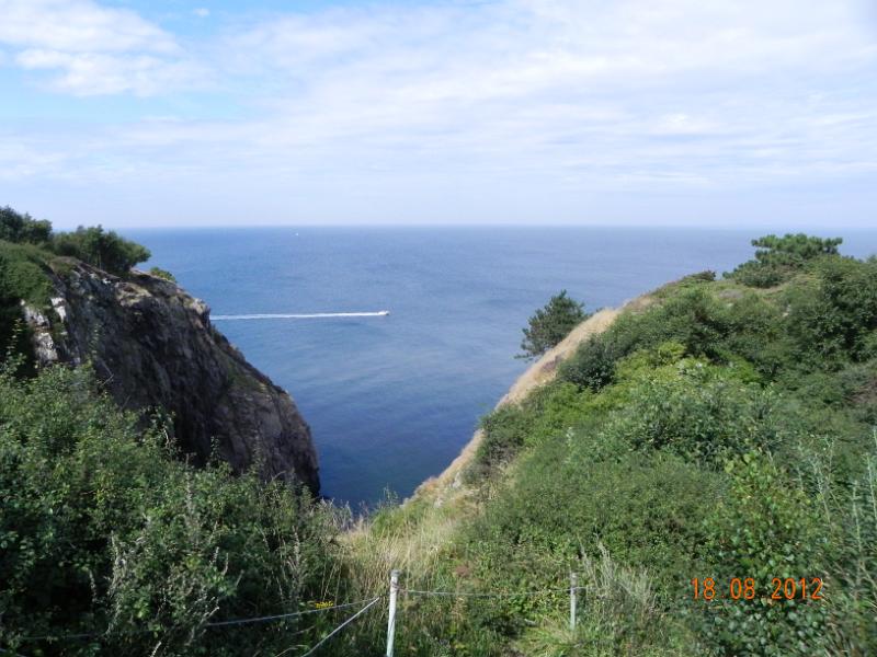 DSCN0469