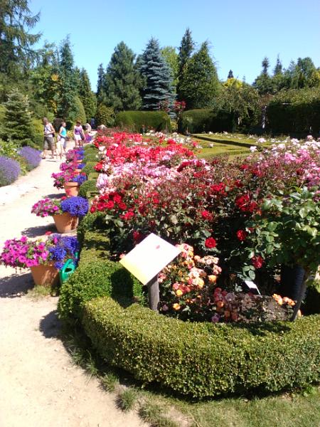 2015-07-17 11.41.21