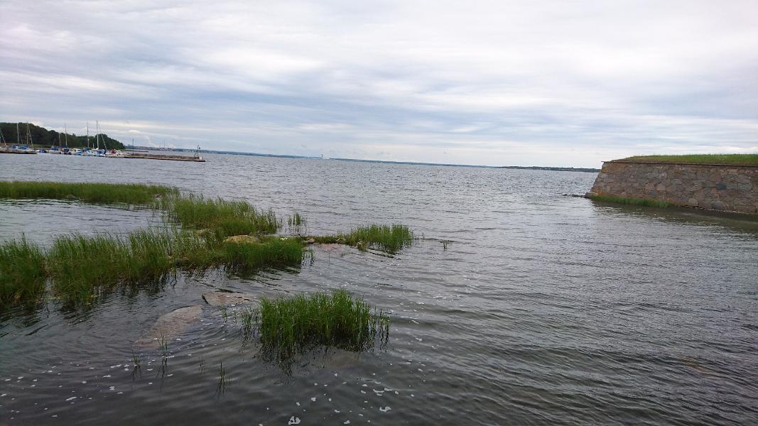 DSC_1054