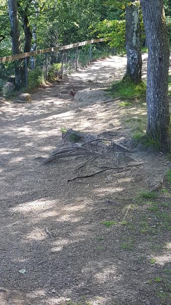 20190622_163952